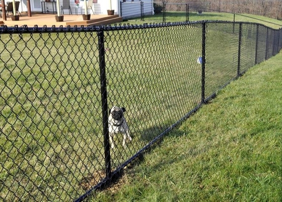 Corrosion Resistant 2.4 M High Fence Panels , CE SS Cyclone Wire Mesh Fence