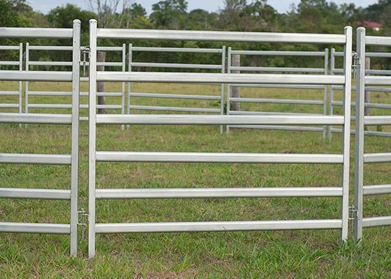 1.6x2.1m Heavy Duty Cattle Panel , Anti Rust Cattle Metal Fence Panels