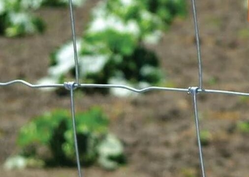 Goat Sheep Cattle 4.0mm Wire Mesh Farm Fencing Corrosion Resistance