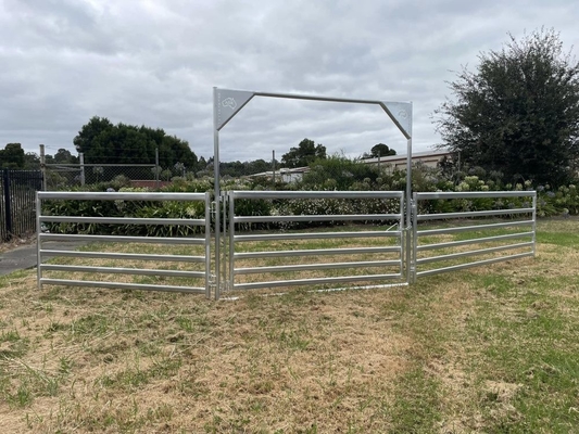2.9mx1.25m Heavy Duty Steel Economy Pastoral Portable Sheep Yard Panels Goat Panel