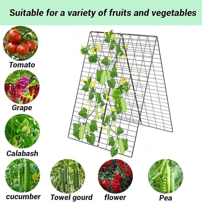 34" X 48" Foldable Cucumber Trellis With Garden Stakes And Zip Ties Plant Support