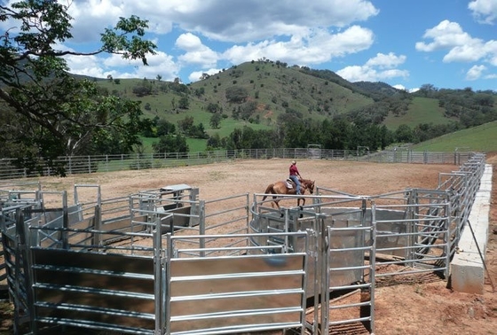 Silver Steel 10ft High Heavy Duty Cattle Yard Gates With Galvanized