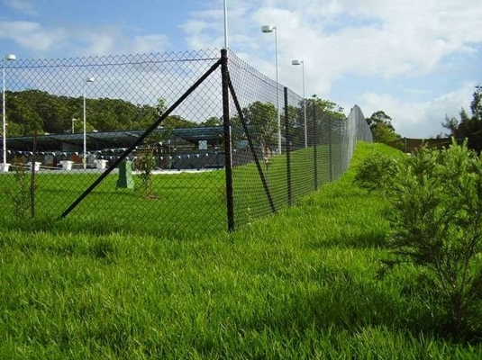 Black Galvanized 3.0m Height Steel Chain Link Fencing 50mm Pitch