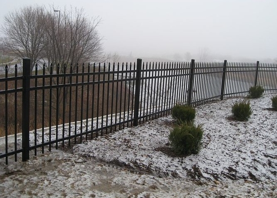 6ftx8ft Steel Tubular Fencing