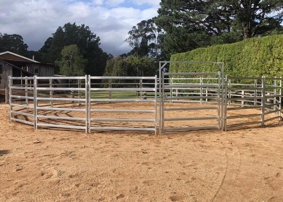 Rustproof Steel 6ftx7ft Heavy Duty Cattle Panel With Hot Dipped Galvanized