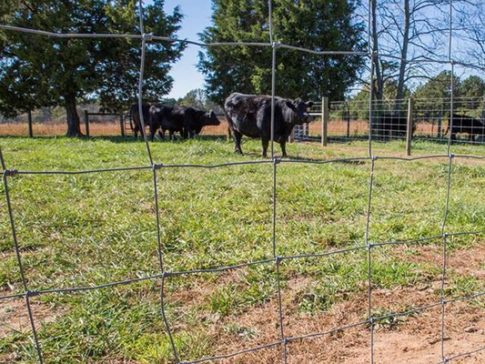 Farm Agricultural Field  High Tensile Cattle Fence 100m Length