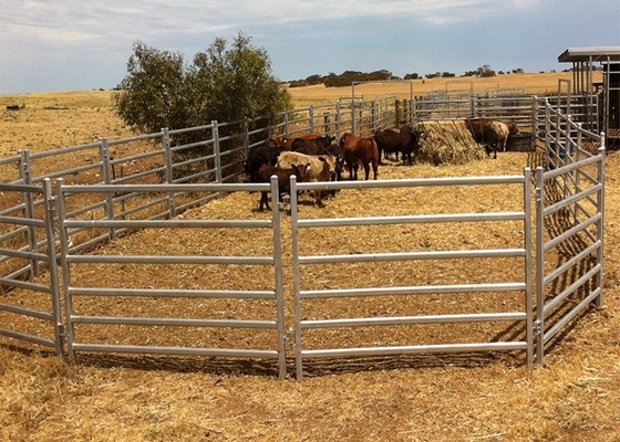 Corral 6 Bar Oval Tube Horse Fence Panels Hot Dip Galvanized 1.8x2.1m