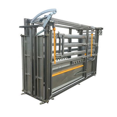 Carbon Steel 2.25m Height Livestock Handling Equipment For Cattle Yard