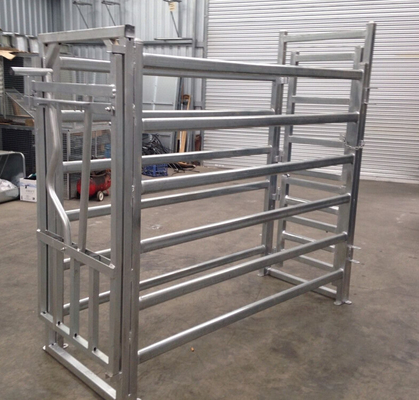 Carbon Steel 2.25m Height Livestock Handling Equipment For Cattle Yard