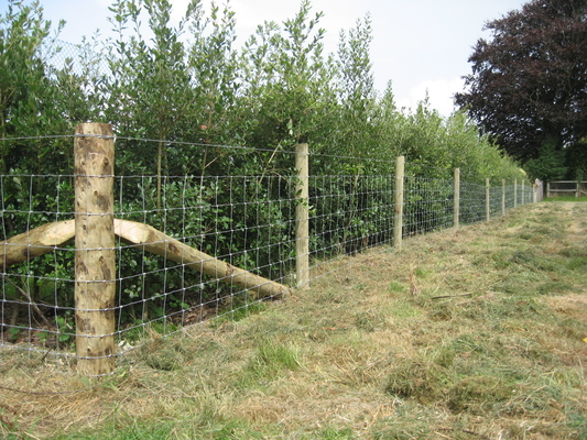 Livestock 2.0mm Wire Cattle Fencing Hot Low Carbon Steel Q195