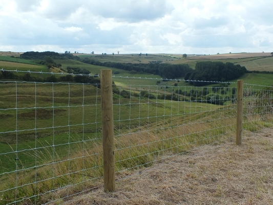 Livestock 2.0mm Wire Cattle Fencing Hot Low Carbon Steel Q195