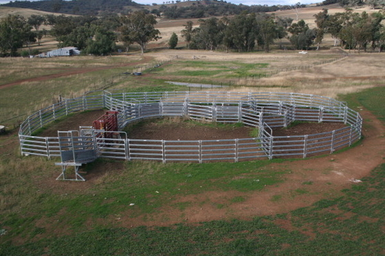 Odm Portable 1.0mm Thick Heavy Duty Galvanized Corral Panels 1.8x3.37m