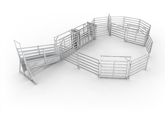 30-40 Head 50x50 High Visibility Livestock Cattle Yard Panels