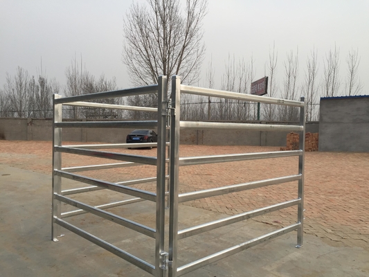 Livestock Farm Rodent Proof Heavy Duty Cattle Panel 42mm Tube