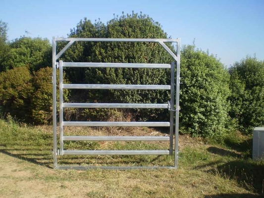 Livestock Farm Rodent Proof Heavy Duty Cattle Panel 42mm Tube