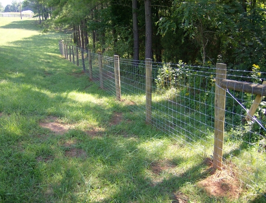 4 Ft 5 Ft Livestock Mesh Fencing SGS Certification