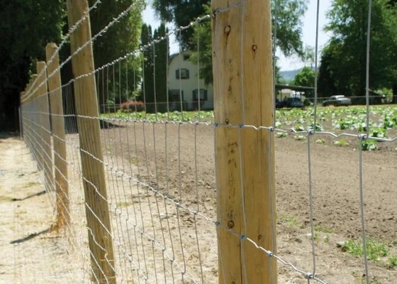Full Galvanized 1.2m Fixed Knot Wire Cattle Fencing