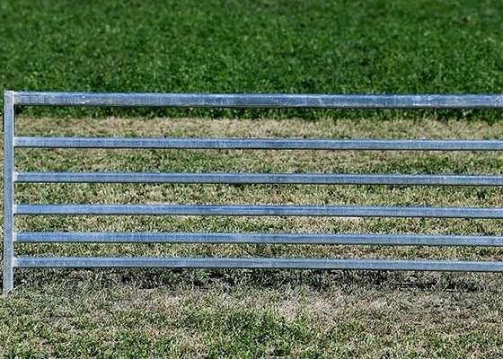 60 X 30 X 1.6mm Gal Oval Rail Heavy Cattle Panels Hot Dip Galvanized Steel To Sheep Yards